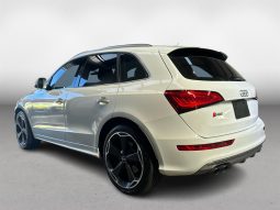 
										Audi SQ5 ASSISTANCE PKG 2015 full									