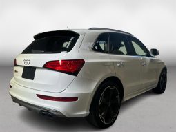 
										Audi SQ5 ASSISTANCE PKG 2015 full									