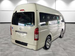 
										TOYOTA REGIUS ACE Welcab MODIFIED B Type 2017 full									