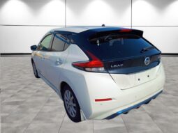 
										NISSAN LEAF X 10th Anniversary 2017 full									