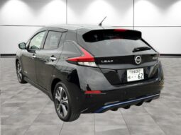 
										NISSAN LEAF G 2019 full									