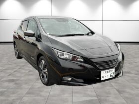 NISSAN LEAF G 2019