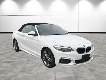 MAZDA BIANTE Granz Skyactive 2013