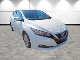 NISSAN LEAF X 10th Anniversary 2017