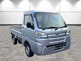 DAIHATSU HI-JET 4WD Standard SA III t 2019