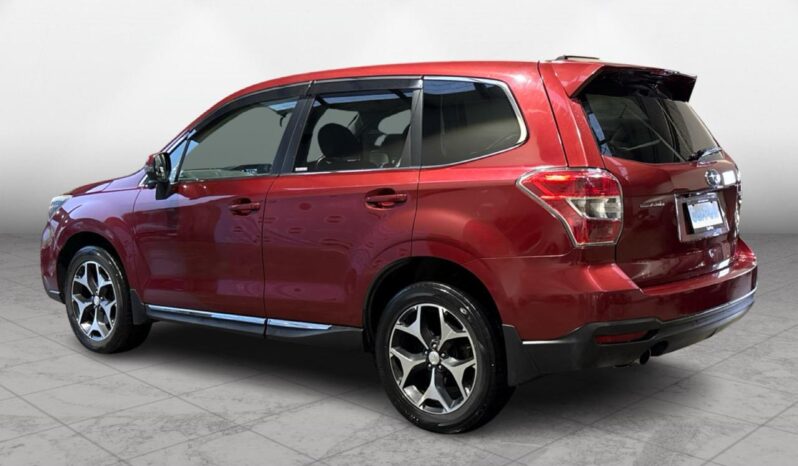 
								Subaru Forester  2013 full									