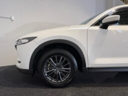 
										Mazda CX-8  2019 full									